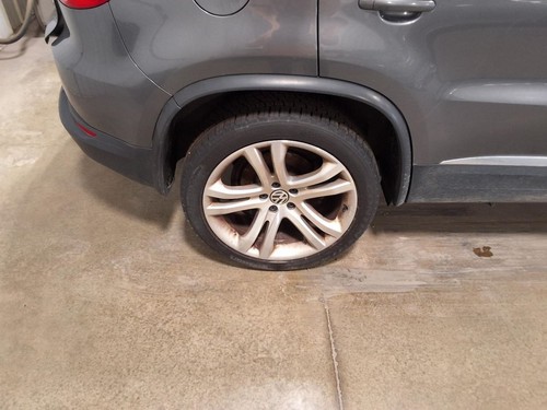 Wheel 19x9 alloy - wheel, straight
